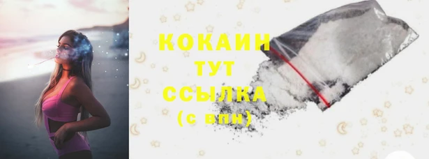 стафф Арсеньев