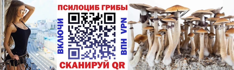 Псилоцибиновые грибы ЛСД  что такое наркотик  Талица 